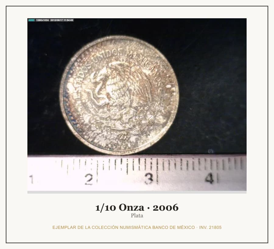 1/10 Onza · 2006 — Ejemplar de la Colección Numismática Banco de México, inv. 21805