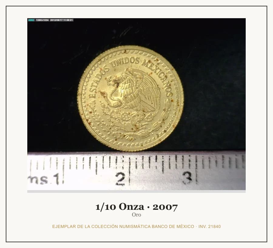 1/10 Onza · 2007 — Ejemplar de la Colección Numismática Banco de México, inv. 21840