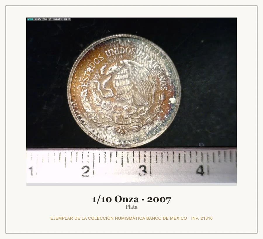 1/10 Onza · 2007 — Ejemplar de la Colección Numismática Banco de México, inv. 21816