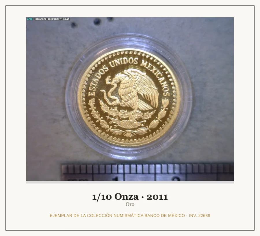 1/10 Onza · 2011 — Ejemplar de la Colección Numismática Banco de México, inv. 22689
