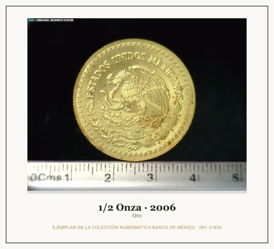 1/2 Onza · 2006 — Ejemplar de la Colección Numismática Banco de México, inv. 21834