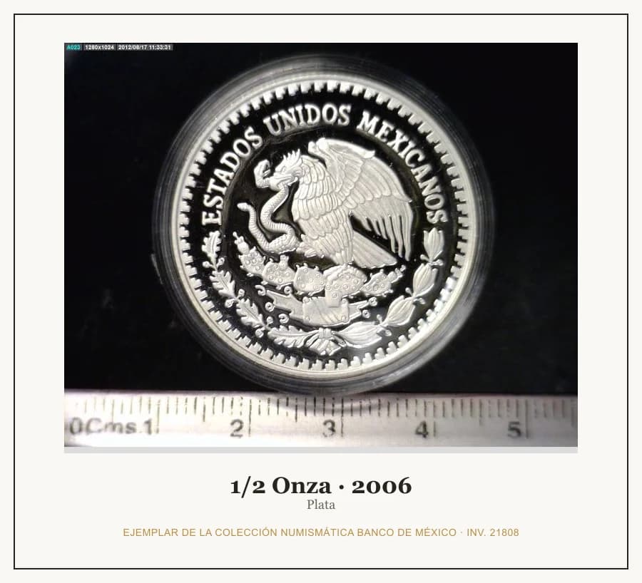 1/2 Onza · 2006 — Ejemplar de la Colección Numismática Banco de México, inv. 21808