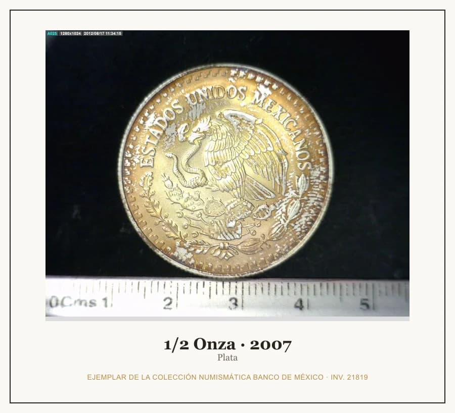 1/2 Onza · 2007 — Ejemplar de la Colección Numismática Banco de México, inv. 21819