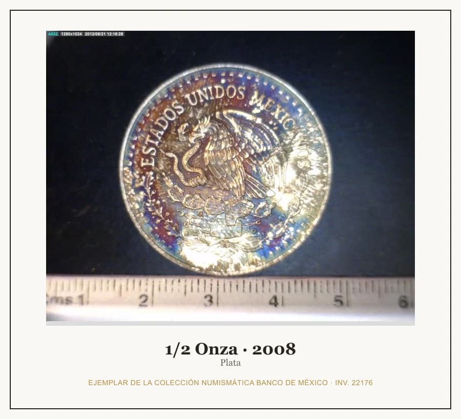1/2 Onza · 2008 — Ejemplar de la Colección Numismática Banco de México, inv. 22176