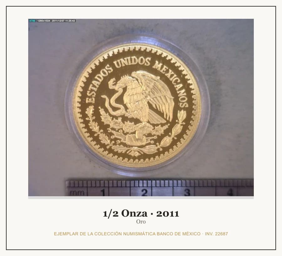 1/2 Onza · 2011 — Ejemplar de la Colección Numismática Banco de México, inv. 22687