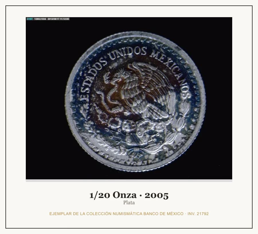 1/20 Onza · 2005 — Ejemplar de la Colección Numismática Banco de México, inv. 21792