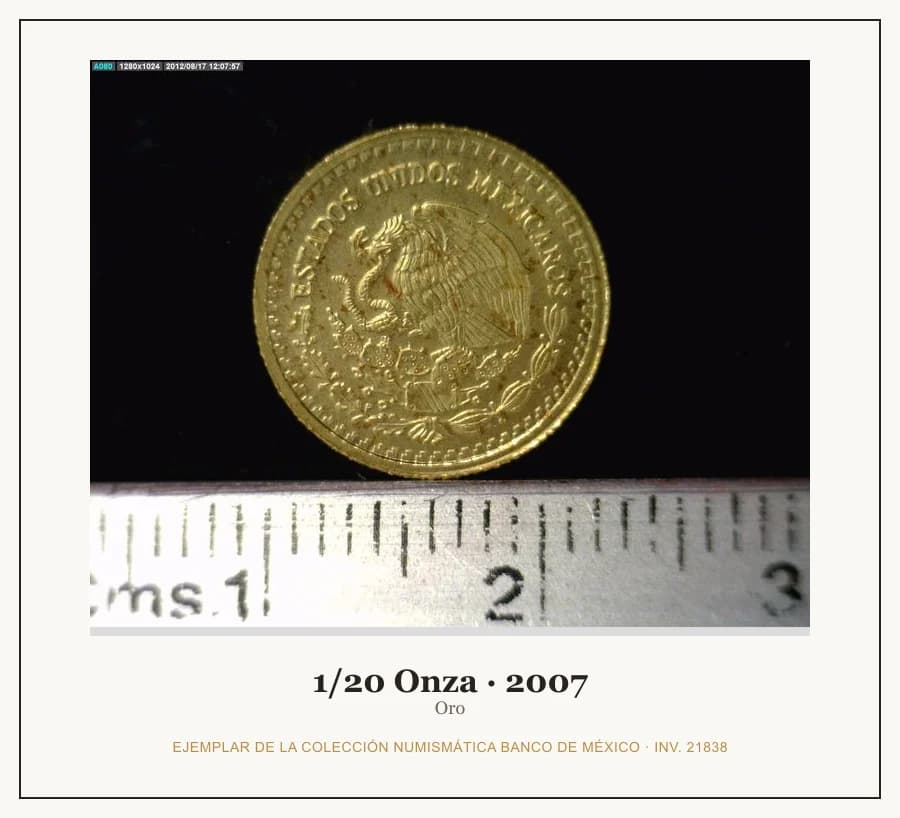 1/20 Onza · 2007 — Ejemplar de la Colección Numismática Banco de México, inv. 21838