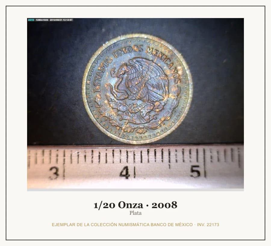 1/20 Onza · 2008 — Ejemplar de la Colección Numismática Banco de México, inv. 22173