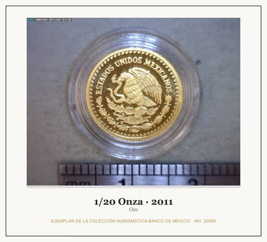1/20 Onza · 2011 — Ejemplar de la Colección Numismática Banco de México, inv. 22690