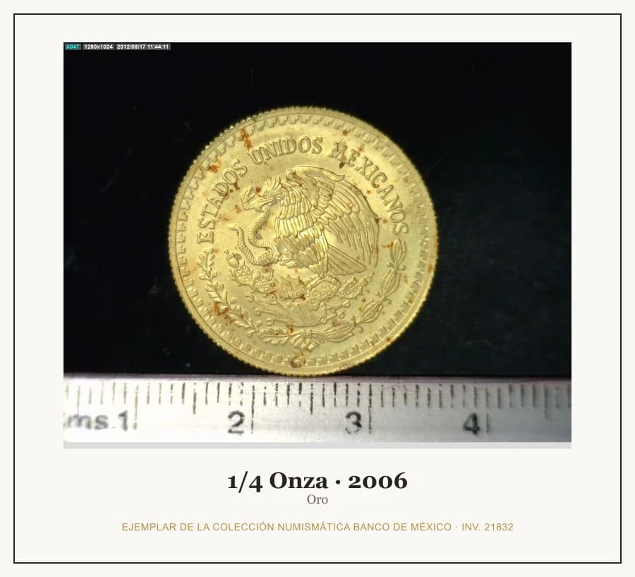 1/4 Onza · 2006 — Ejemplar de la Colección Numismática Banco de México, inv. 21832