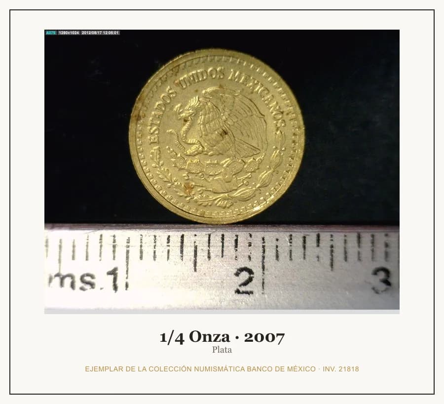 1/4 Onza · 2007 — Ejemplar de la Colección Numismática Banco de México, inv. 21818