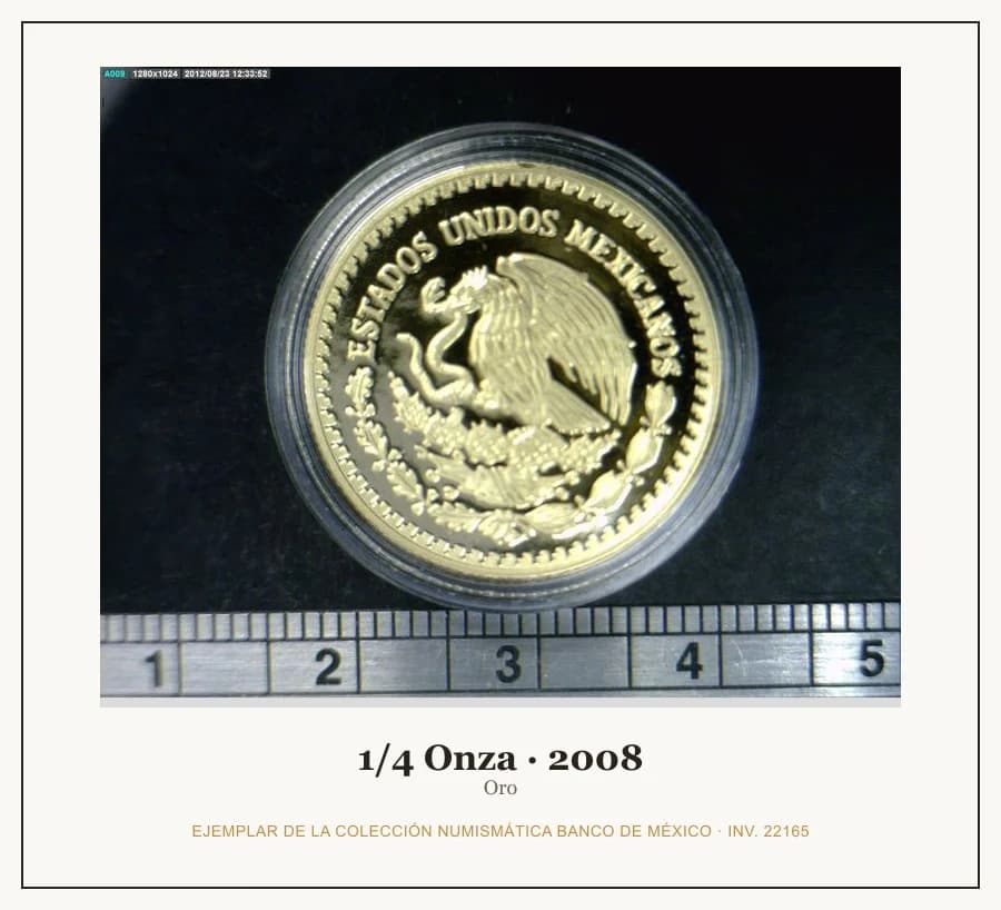 1/4 Onza · 2008 — Ejemplar de la Colección Numismática Banco de México, inv. 22165