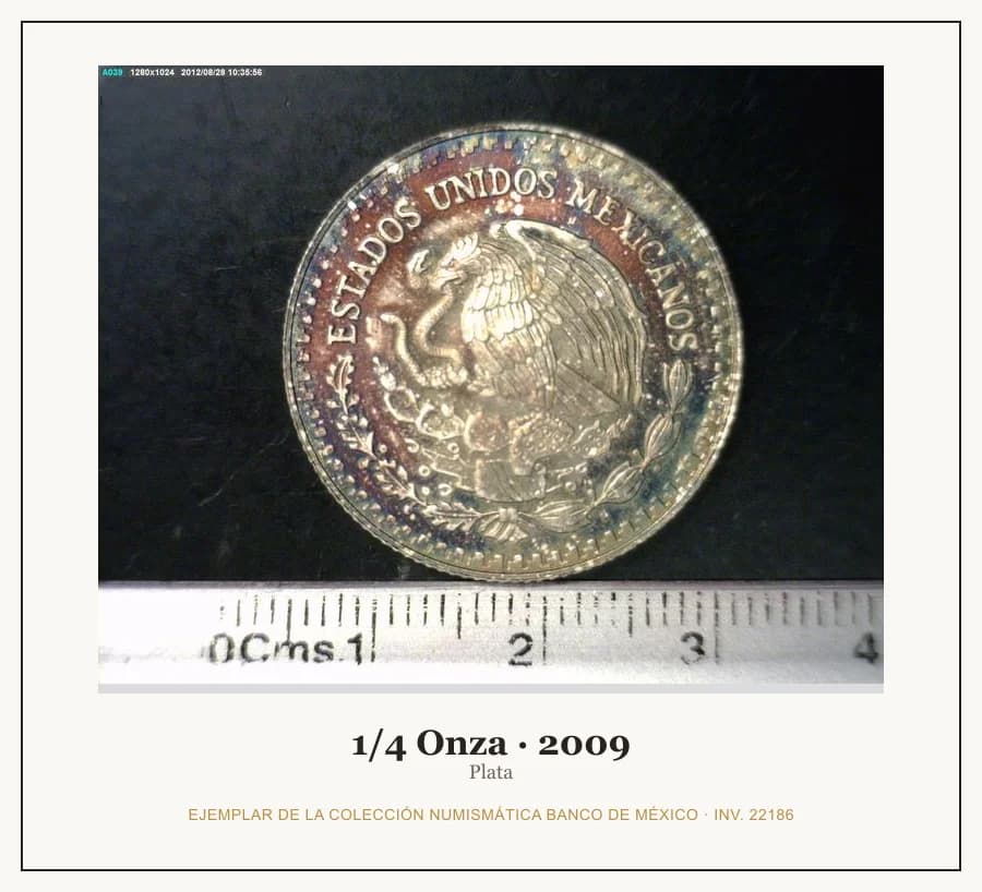 1/4 Onza · 2009 — Ejemplar de la Colección Numismática Banco de México, inv. 22186