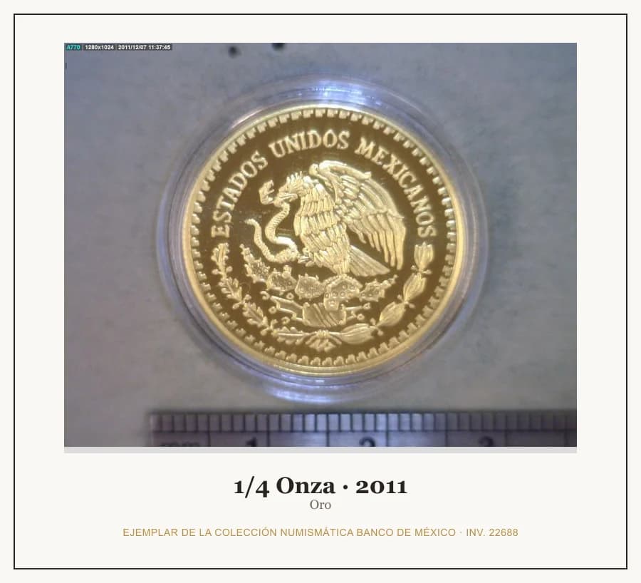 1/4 Onza · 2011 — Ejemplar de la Colección Numismática Banco de México, inv. 22688