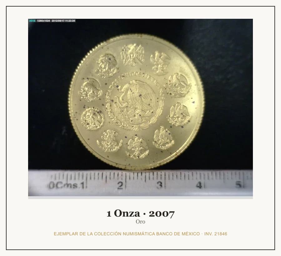 1 Onza · 2007 — Ejemplar de la Colección Numismática Banco de México, inv. 21846