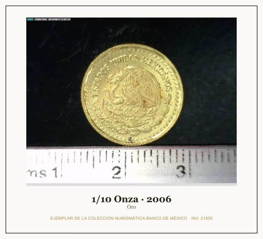 1/10 Onza · 2006 — Ejemplar de la Colección Numismática Banco de México, inv. 21830