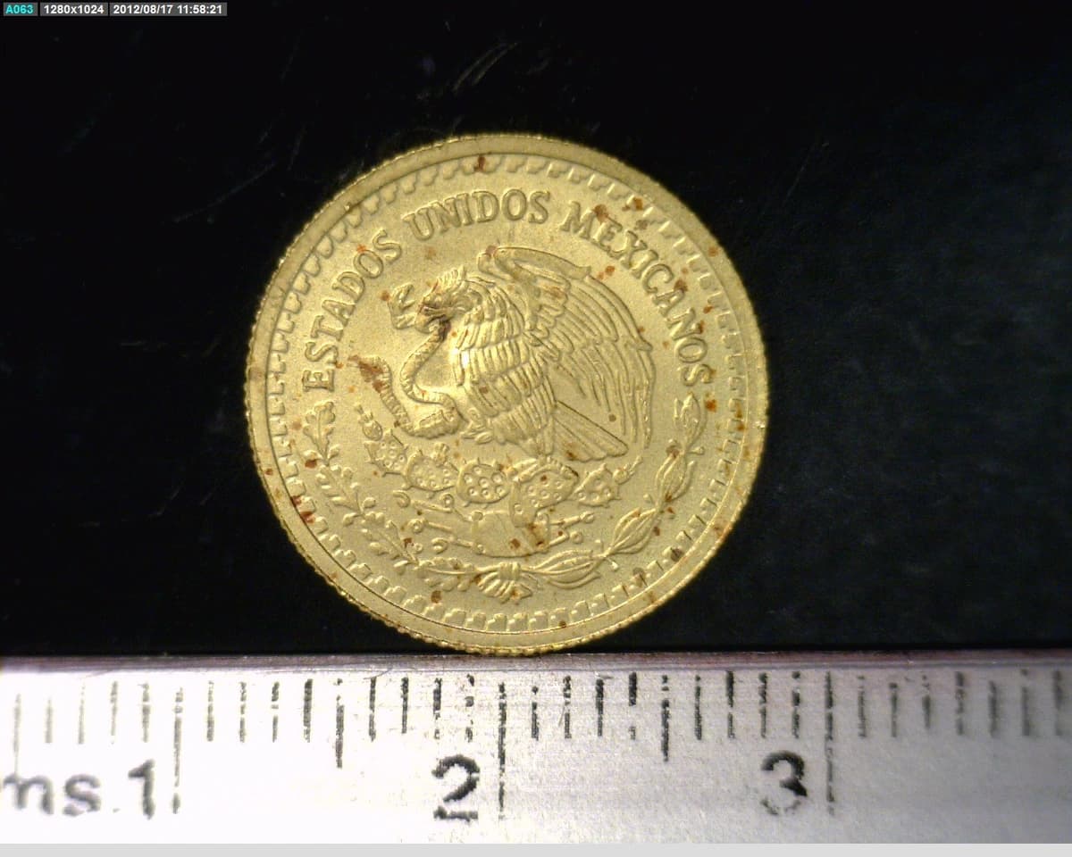 1-10-onza-libertad-oro-2007 - anverso (Banxico)