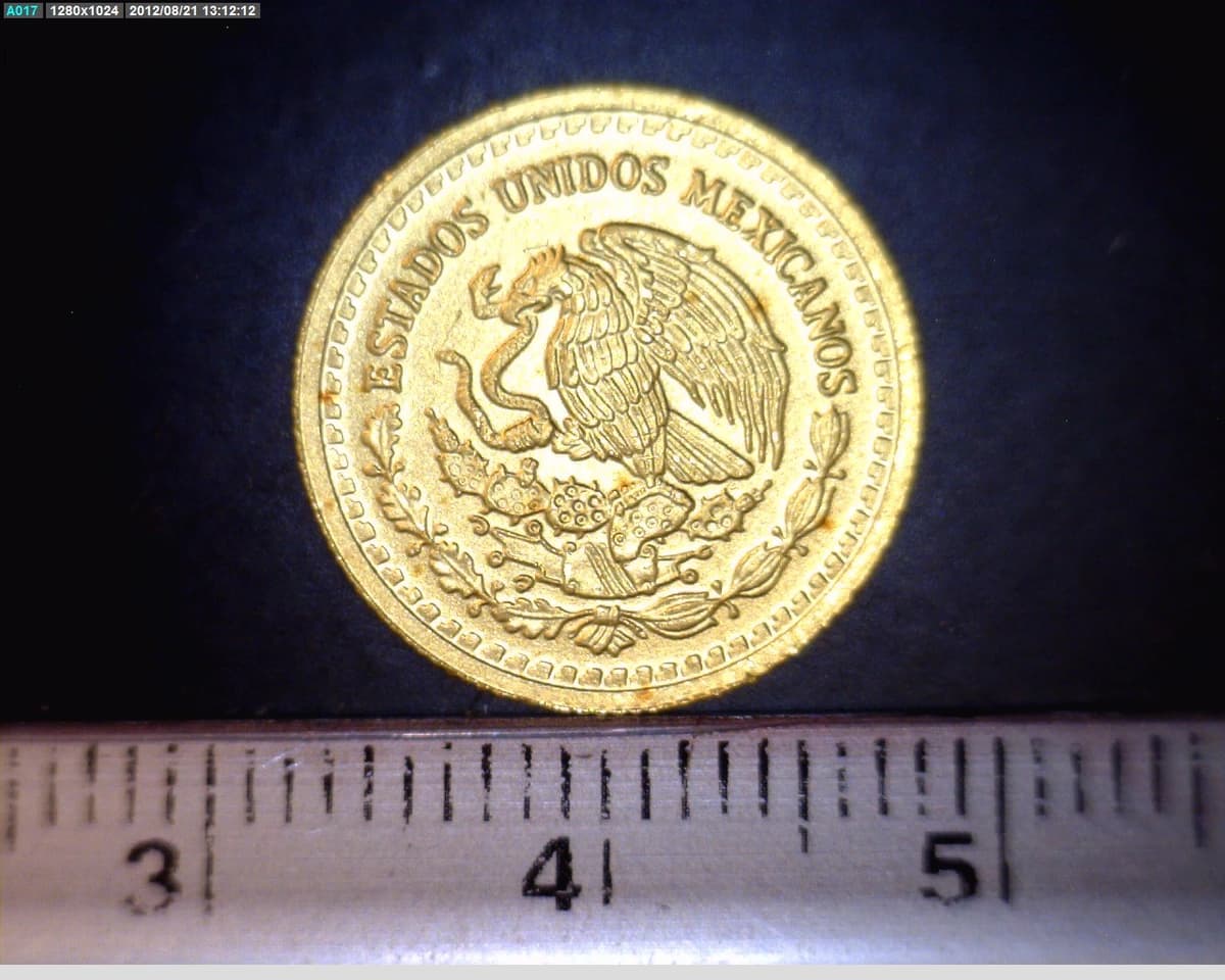 1-10-onza-libertad-oro-2009 - anverso (Banxico)