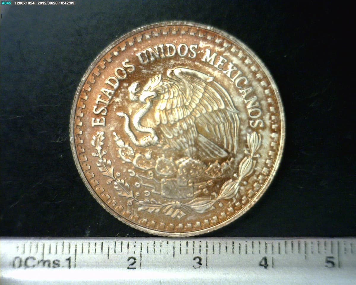 1-2-onza-libertad-plata-2009 - anverso (Banxico)