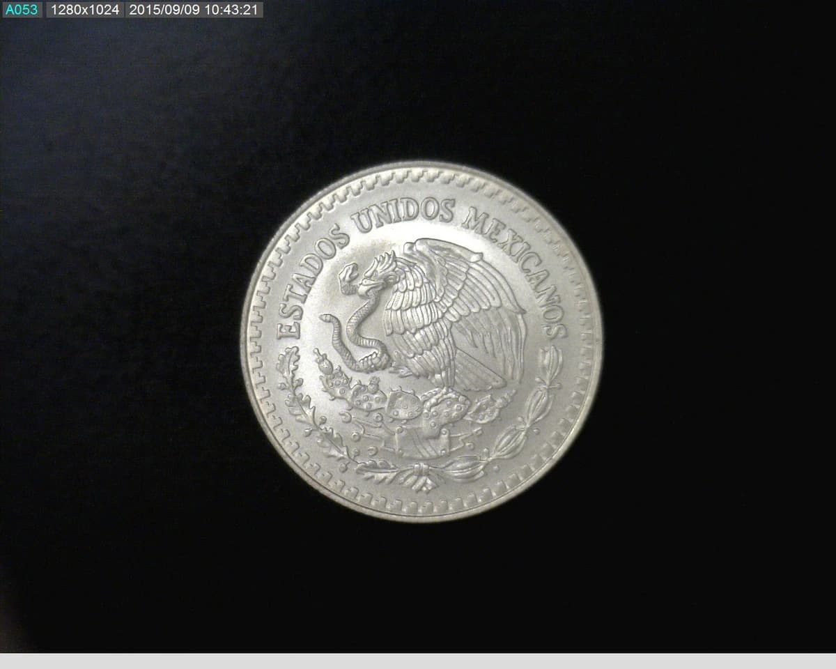 1-2-onza-libertad-plata-2013 - anverso (Banxico)