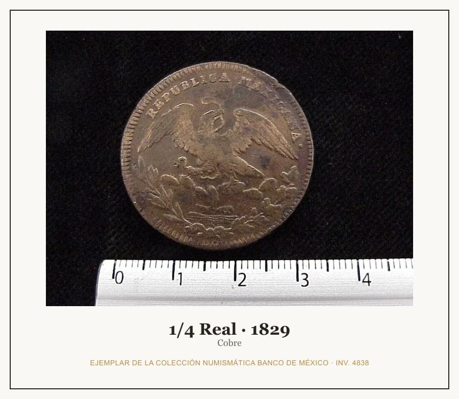 1/4 Real · 1829 — Ejemplar de la Colección Numismática Banco de México, inv. 4838