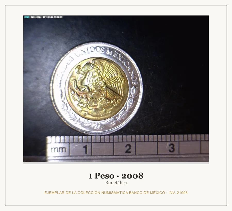 1 Peso · 2008 — Ejemplar de la Colección Numismática Banco de México, inv. 21998