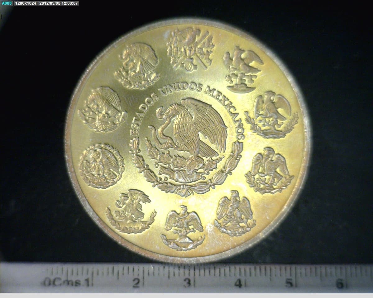2-onza-libertad-plata-2008 - anverso (Banxico)