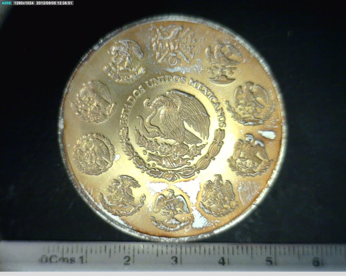2-onza-libertad-plata-2009 - anverso (Banxico)