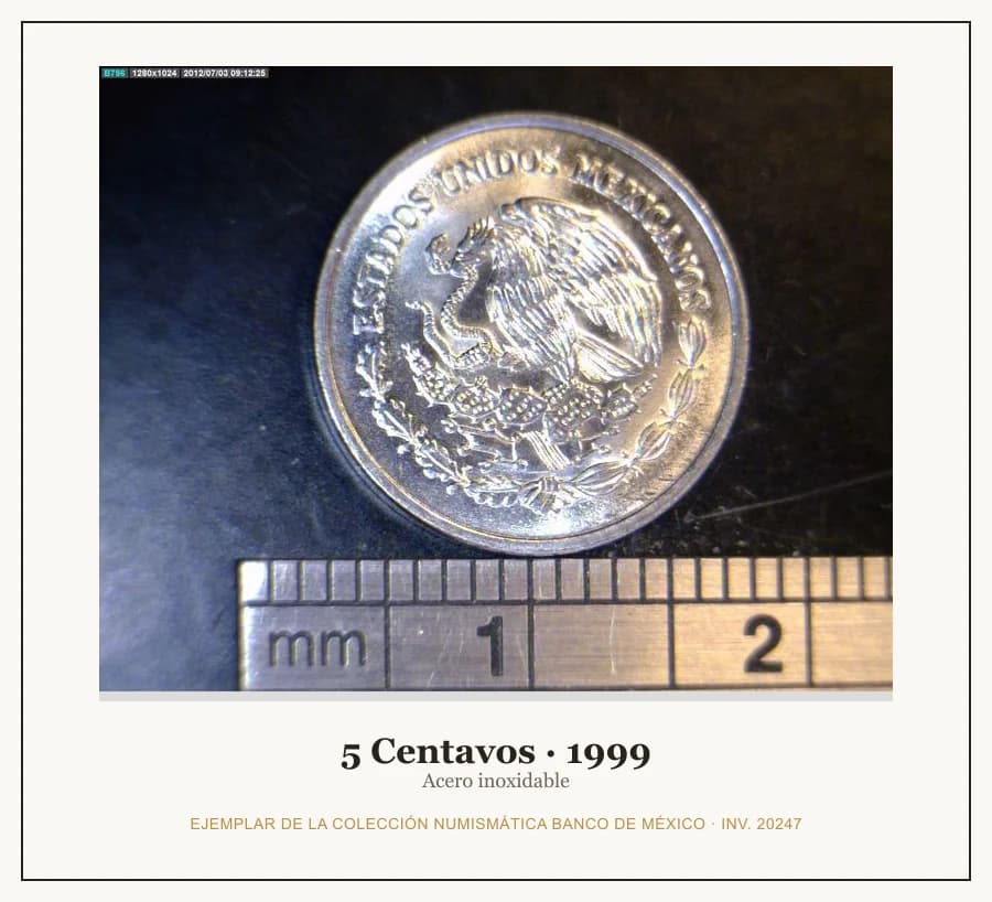 5 Centavos · 1999 — Ejemplar de la Colección Numismática Banco de México, inv. 20247