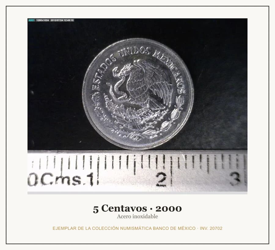 5 Centavos · 2000 — Ejemplar de la Colección Numismática Banco de México, inv. 20702