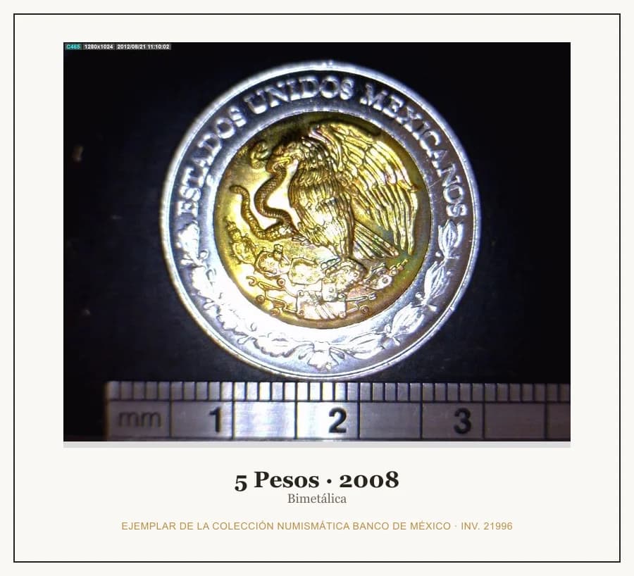 5 Pesos · 2008 — Ejemplar de la Colección Numismática Banco de México, inv. 21996