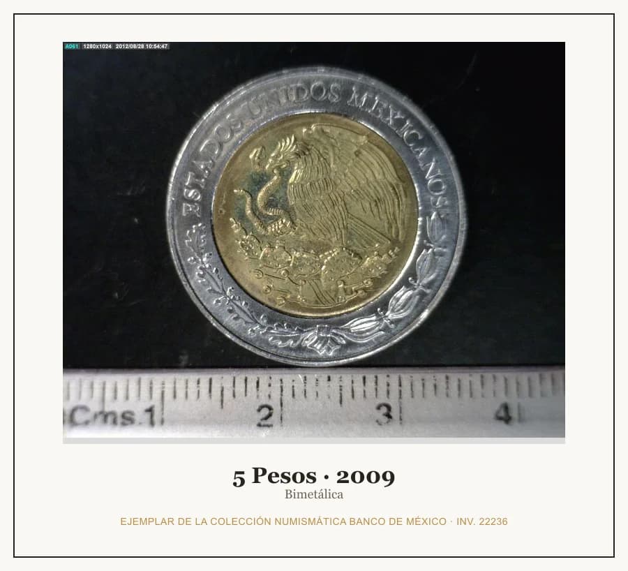 5 Pesos · 2009 — Ejemplar de la Colección Numismática Banco de México, inv. 22236