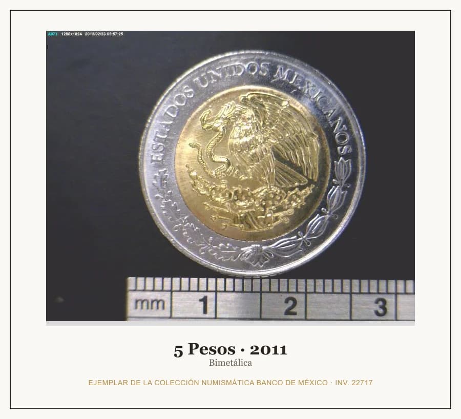 5 Pesos · 2011 — Ejemplar de la Colección Numismática Banco de México, inv. 22717