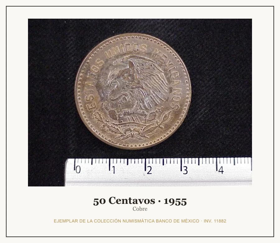 50 Centavos · 1955 — Ejemplar de la Colección Numismática Banco de México, inv. 11882
