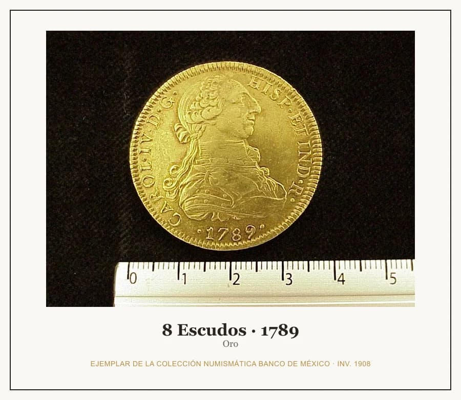 8 Escudos · 1789 — Ejemplar de la Colección Numismática Banco de México, inv. 1908