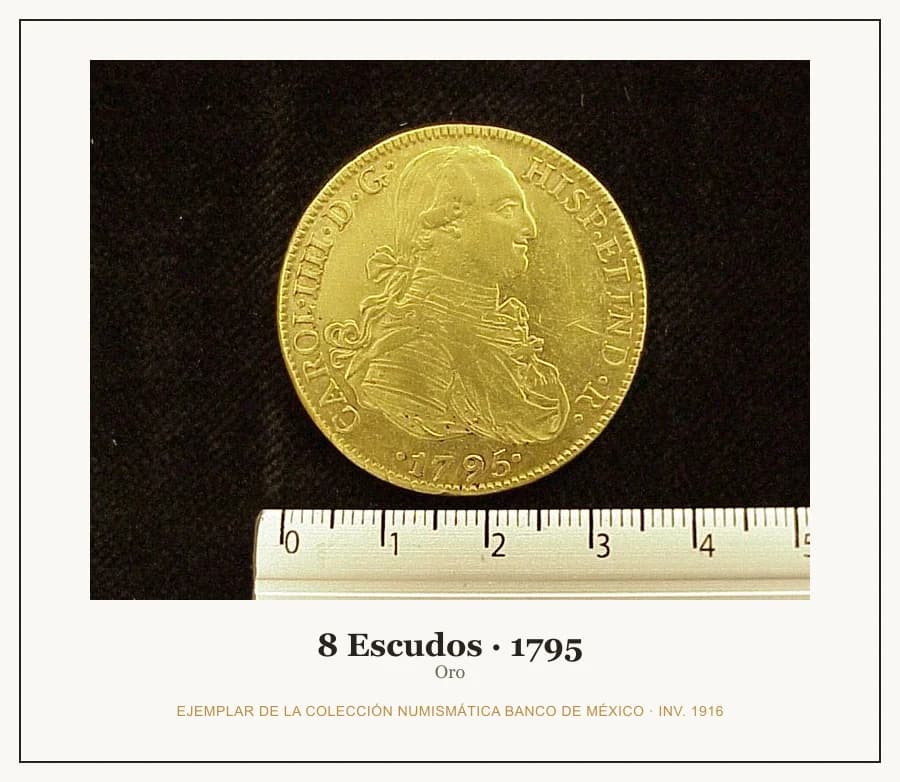 8 Escudos · 1795 — Ejemplar de la Colección Numismática Banco de México, inv. 1916