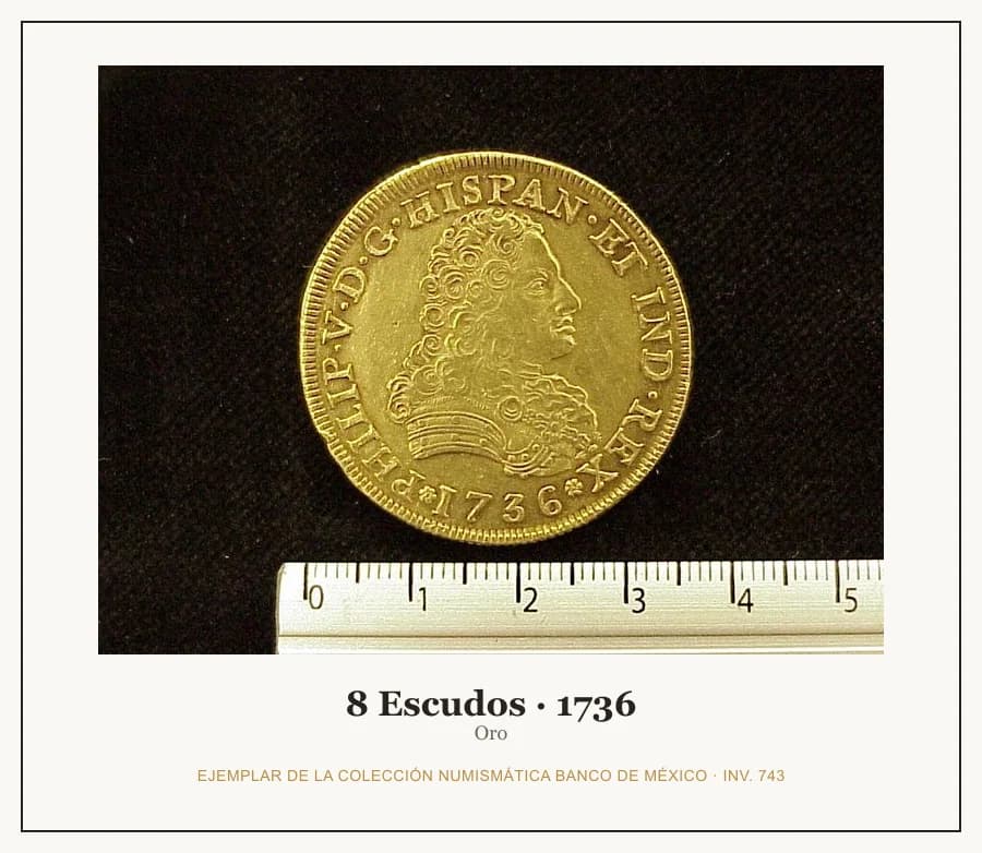 8 Escudos · 1736 — Ejemplar de la Colección Numismática Banco de México, inv. 743