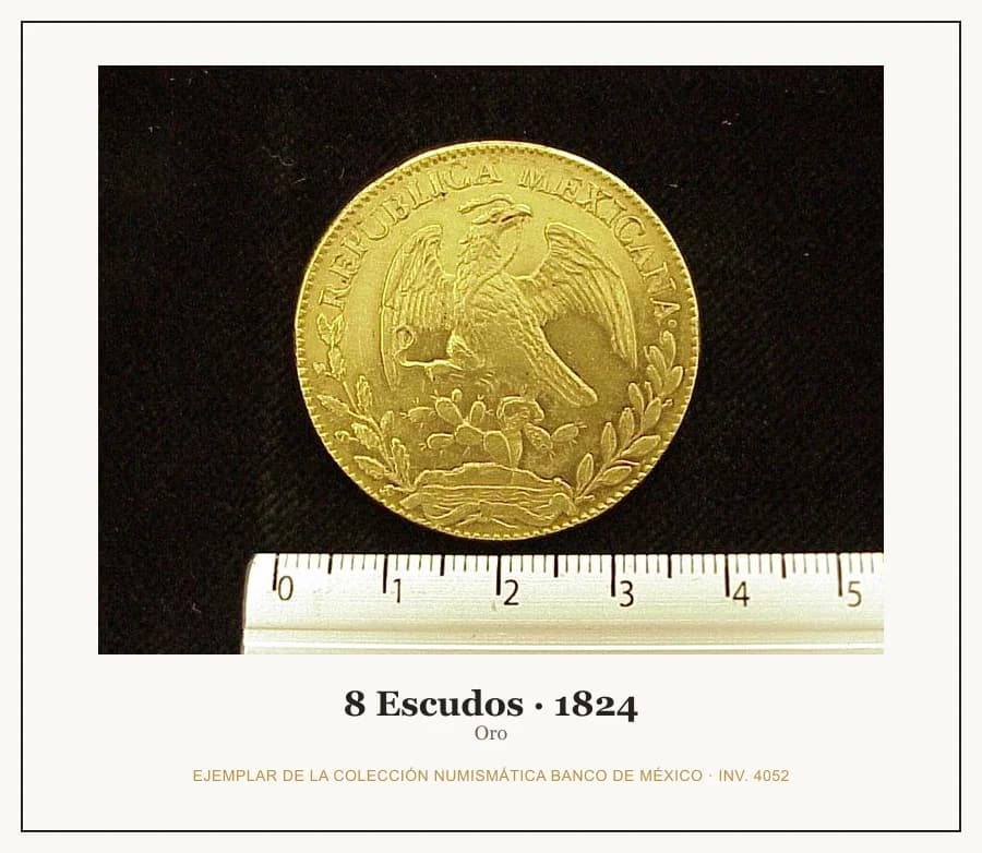 8 Escudos · 1824 — Ejemplar de la Colección Numismática Banco de México, inv. 4052