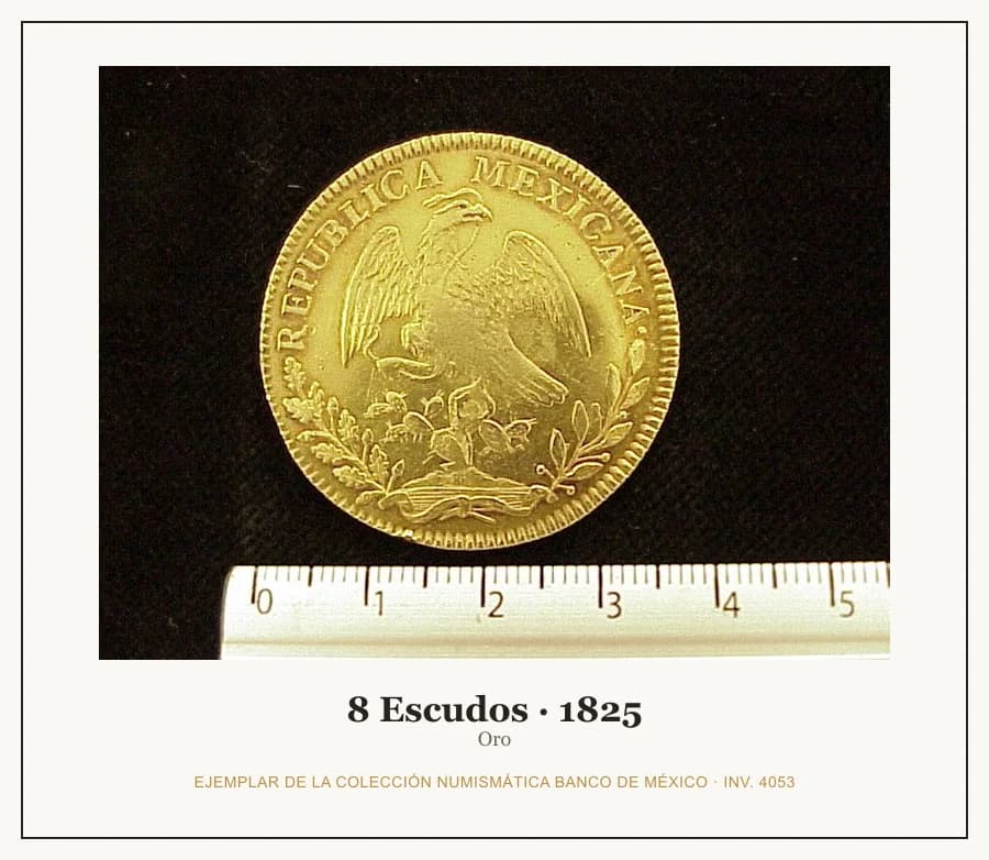 8 Escudos · 1825 — Ejemplar de la Colección Numismática Banco de México, inv. 4053