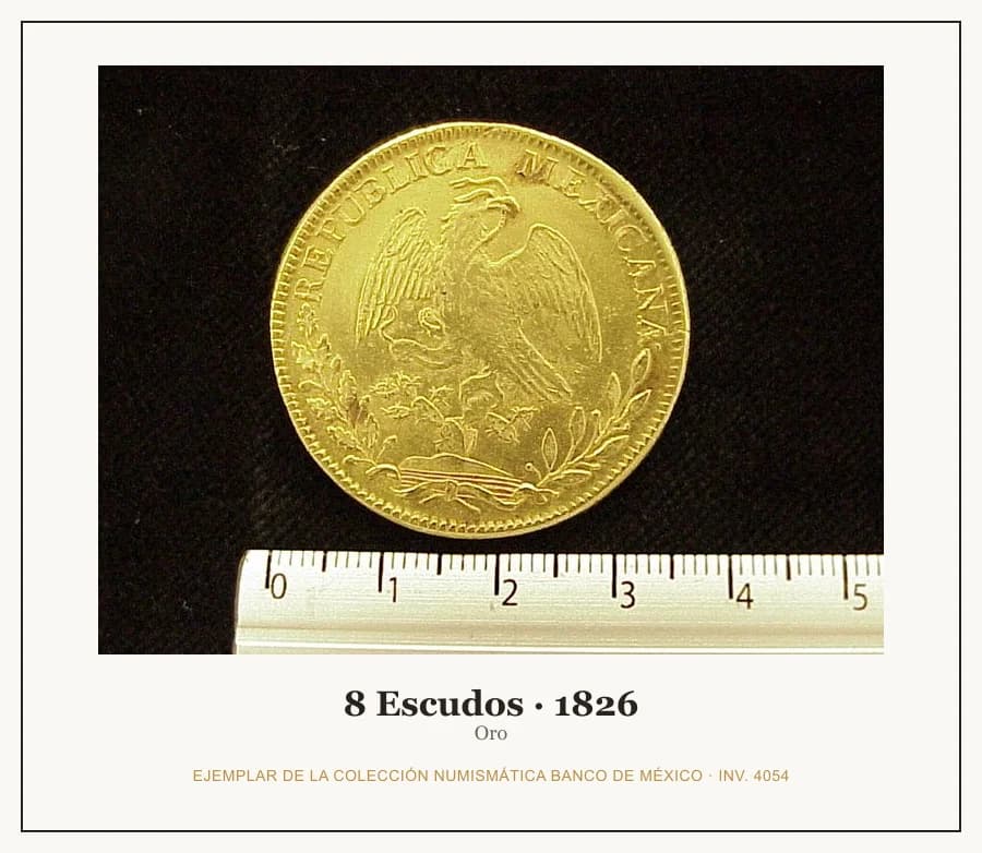 8 Escudos · 1826 — Ejemplar de la Colección Numismática Banco de México, inv. 4054
