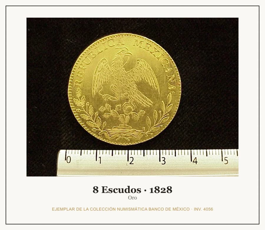 8 Escudos · 1828 — Ejemplar de la Colección Numismática Banco de México, inv. 4056