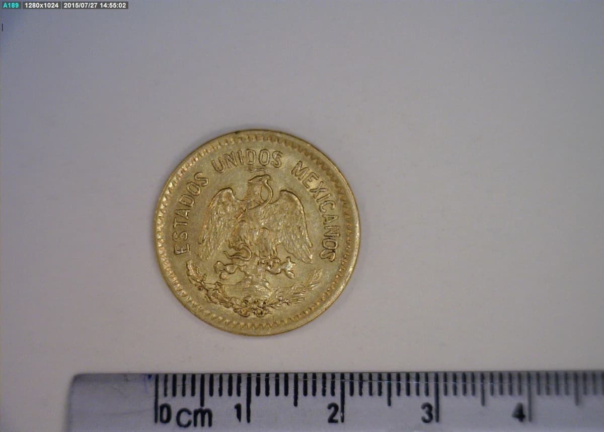 hidalgo-10-pesos-oro-1906 - anverso (Banxico)