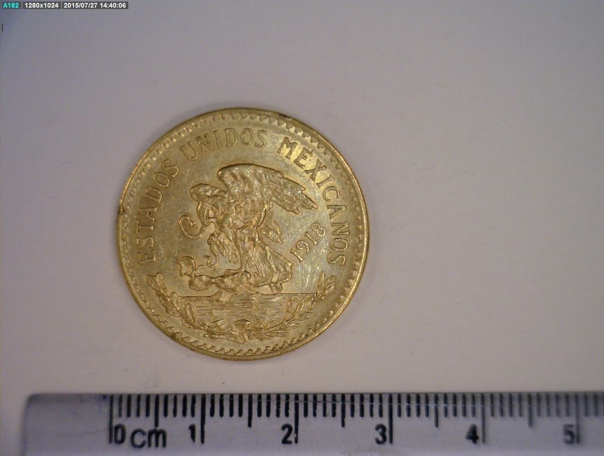 hidalgo-20-pesos-oro-1918 - anverso (Banxico)