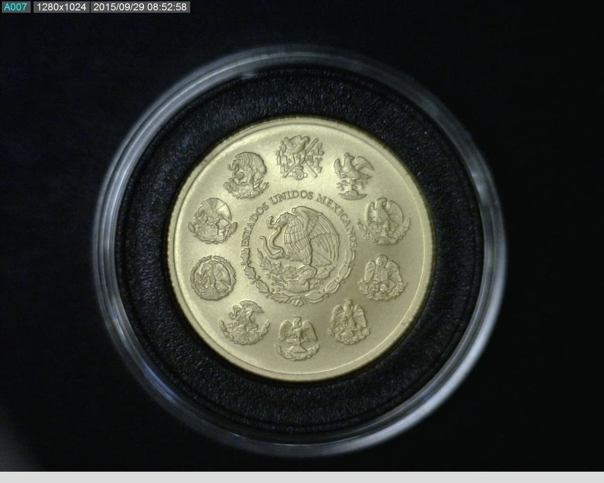 onza-libertad-oro-2013 - anverso (Banxico)