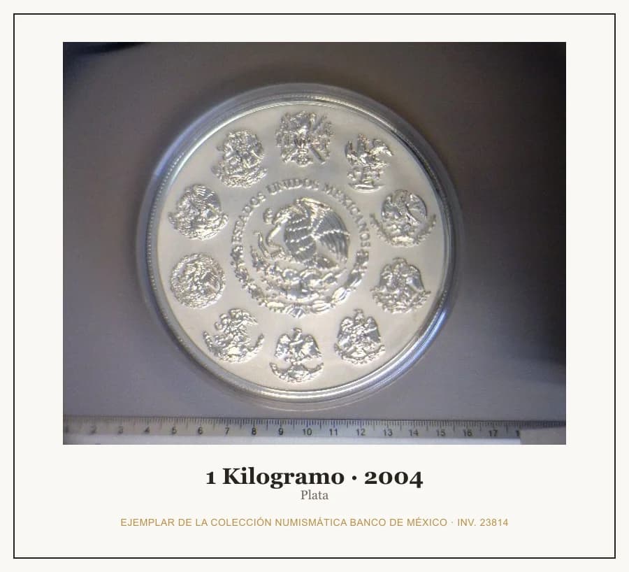 1 Kilogramo · 2004 — Ejemplar de la Colección Numismática Banco de México, inv. 23814